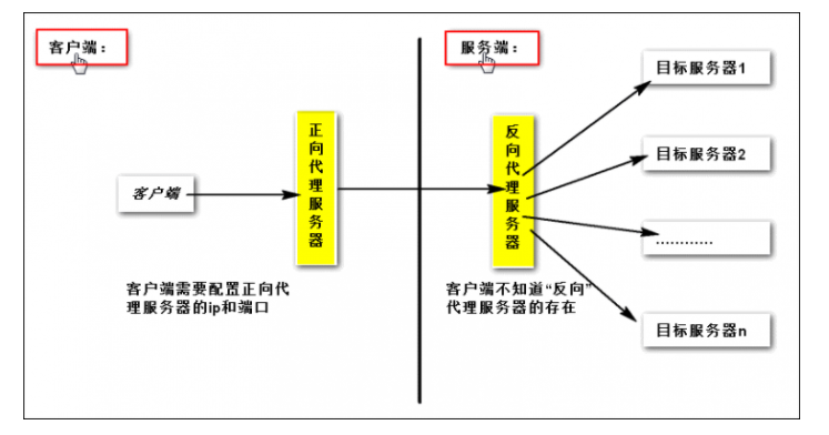image-20211018163759022
