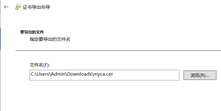 image-20220217110023738